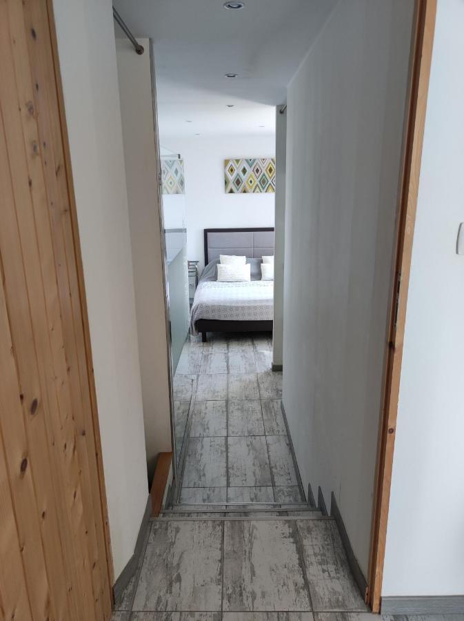 Appartement Abadie Bagneres-de-Bigorre Ngoại thất bức ảnh
