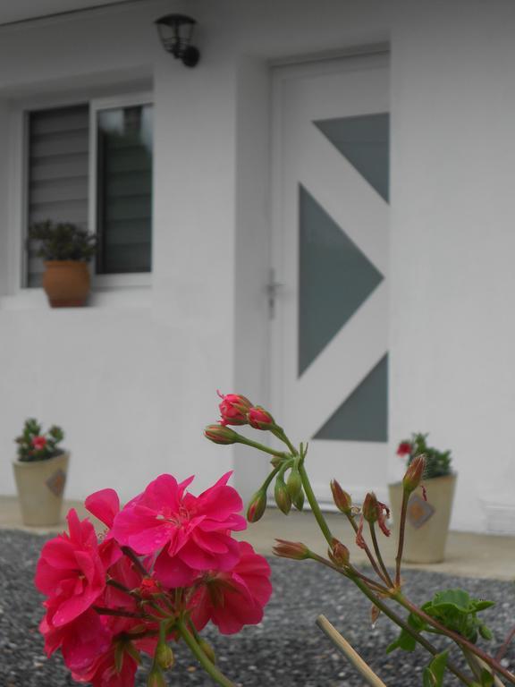 Appartement Abadie Bagneres-de-Bigorre Ngoại thất bức ảnh